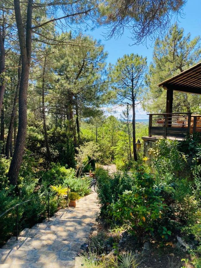 Lou Paradou Lodge Grillon Exterior photo