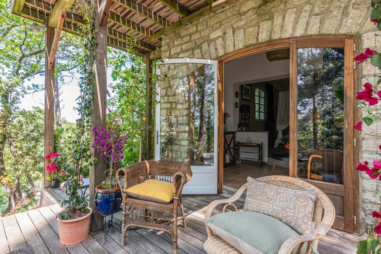 Lou Paradou Lodge Grillon Exterior photo